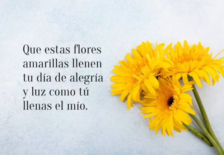 Flores amarillas, como frases sobre la primavera, llenan de alegría y luz.