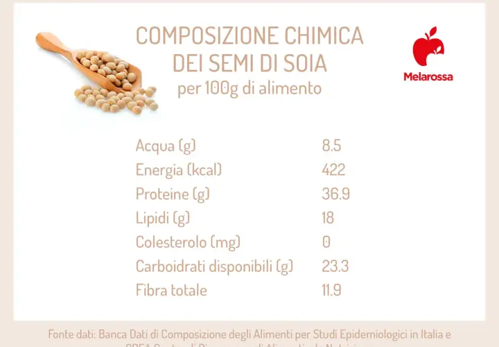 Composizione chimica dei semi di soia: scopri le proprietà nutrizionali, ricche di proteine e fibre, con pochi lipidi e zero colesterolo.