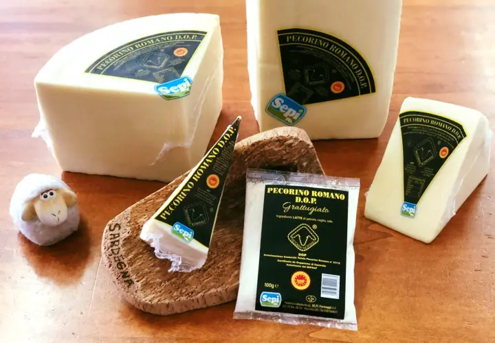 Ser pecorino romano DOP w kawałkach i starty, obok owieczki. Idealny do makaronu.