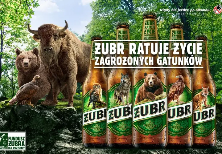 Żubr, niedźwiedź, wilk i orzeł – symbol białowieskiego parku narodowego i zagrożonych gatunków. Fundusz Żubra dla przyrody.