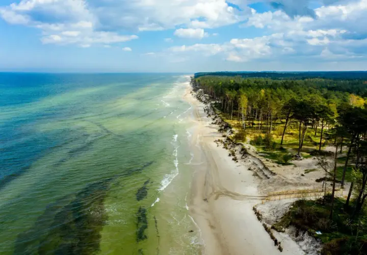 Malownicza lubiatowo plaża z zielonym morzem i sosnowym lasem. Piasek, fale i chmury tworzą spokojny krajobraz.