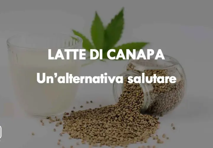 Un bicchiere di latte di canapa accanto a semi di canapa sparsi. Un'alternativa salutare per la tua dieta.