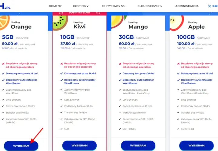 Chcesz wiedzieć, jak zrobić stronę w WordPress? Sprawdź hostingi z autoinstalatorem WordPress, darmowym testem i optymalizacją. Wybierz plan dla siebie!
