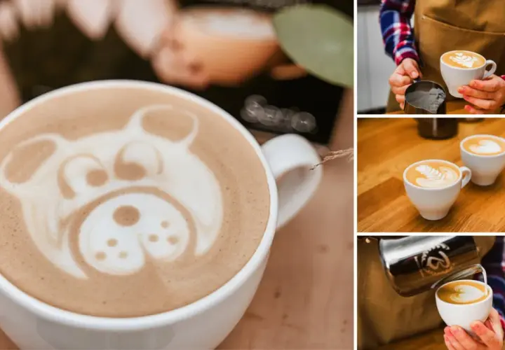 Kolaż zdjęć: biała filiżanka kawy z pianką w kształcie misia, barista nalewający kawę, dwie filiżanki kawy latte.