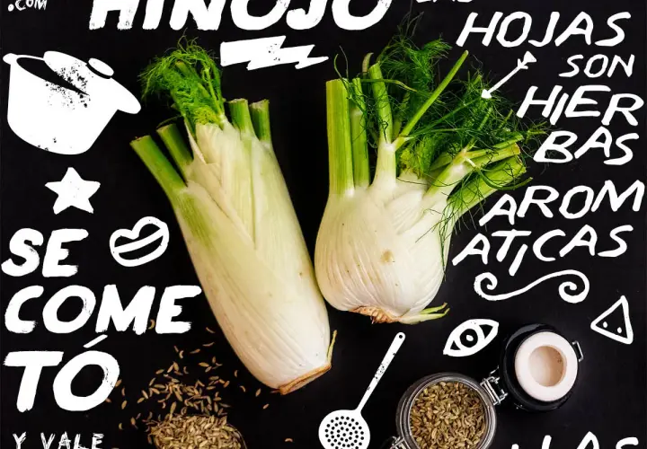 Hinojo: se come todo, sus hojas son hierbas aromáticas. Ideal para dar sabor a tus platos.