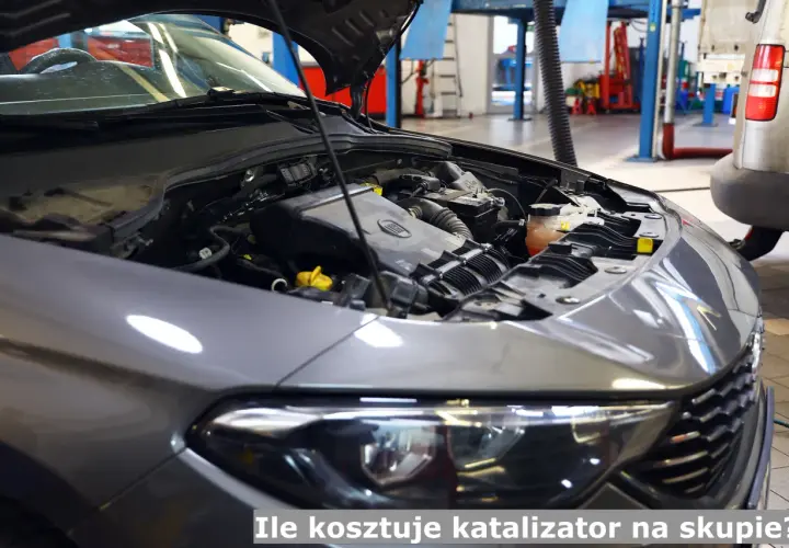Ile za katalizator w skupie? Poznaj ceny i sprzedaj z zyskiem!