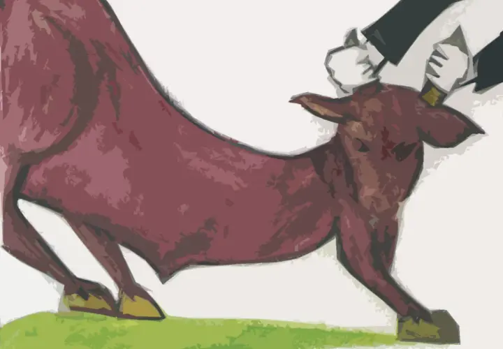 Toro bravo en la arena, con sus expresivas expresiones taurinas, listo para la faena.