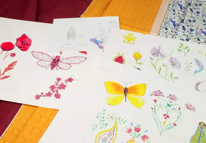 Croquis de motifs provençaux : coquelicots, cigale, papillon, grenade, fleurs et feuilles.
