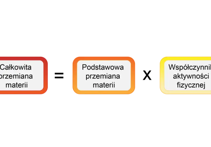 Trzy pola: "Całkowita przemiana materii", "Podstawowa przemiana materii" i "Współczynnik aktywności fizycznej".