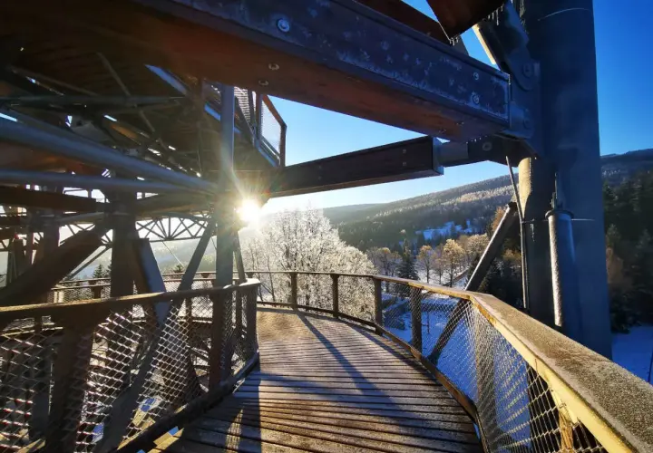 Świeradów Zdrój Sky Walk w zimowej odsłonie. Drewniana ścieżka wśród mroźnych drzew, słońce przebija się przez konstrukcję.