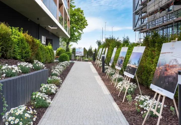 Szczecin co zobaczyć? Odkryj Floating Garden i jego perły!