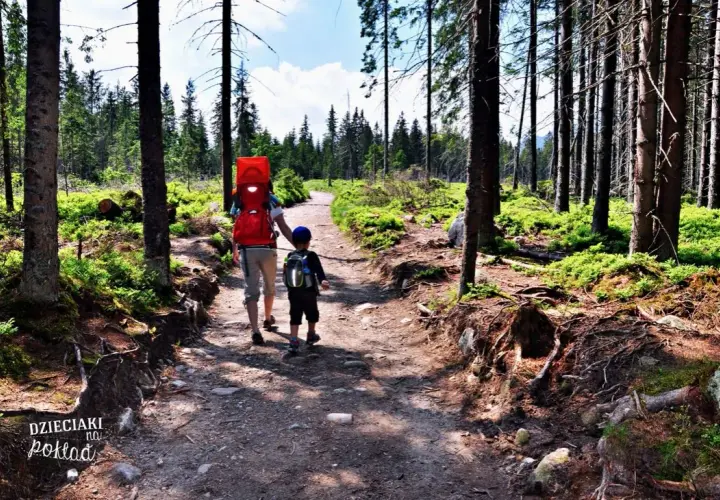 Tatry z dzieckiem: Sprawdzone szlaki dla rodzin, od wózka po starszaka