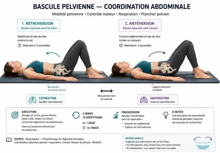 Femme en position allongée effectuant des mouvements de bascule pelvienne pour assouplir les lombaires, alternant rétroversion et antéversion.