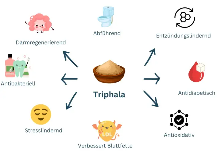Die bio triphala wirkung: Darmregenerierend, abführend, entzündungslindernd, antidiabetisch, antioxidativ, verbessert Blutfette, stresslindernd, antibakteriell.