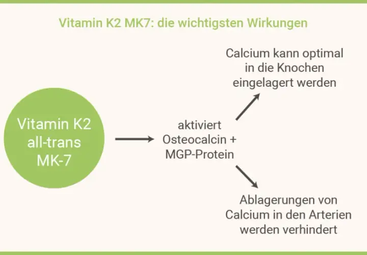 Die überraschenden Vorteile von K2MK7 Vitamin für Ihre Gesundheit