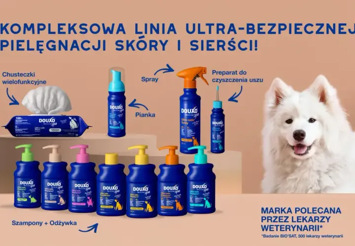 Szukasz idealnego szamponu dla psa? Douxo oferuje kompleksową pielęgnację skóry i sierści, polecaną przez weterynarzy.