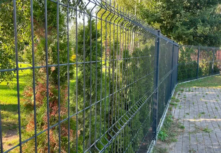 Co posadzić przy ogrodzeniu z siatki, aby zyskać piękny i prywatny ogród