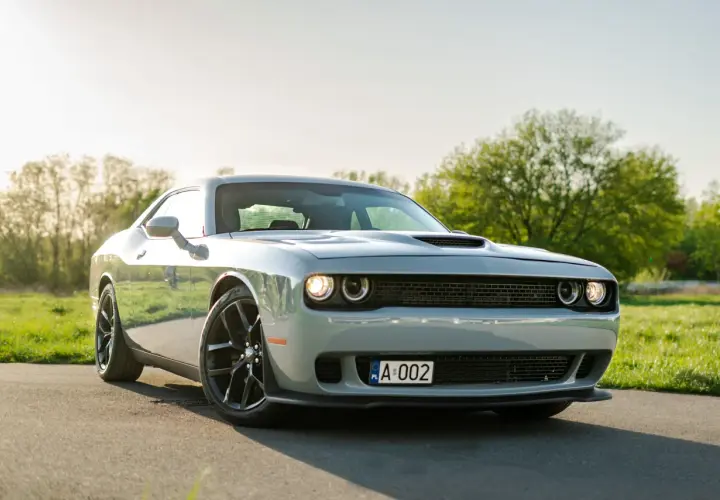 Srebrny Dodge Challenger 5.7 Hemi z czarnymi felgami na tle zielonej łąki i drzew.