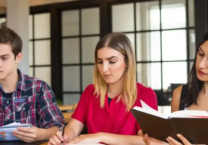 Tre studenti studiano insieme, affrontando parole difficili in inglese. Uno legge un libro, un altro scrive, il terzo analizza documenti.
