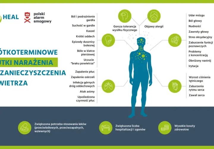 Ilustracja przedstawia sylwetkę człowieka z ikonami symbolizującymi skutki krótkoterminowego narażenia na zanieczyszczenia powietrza.