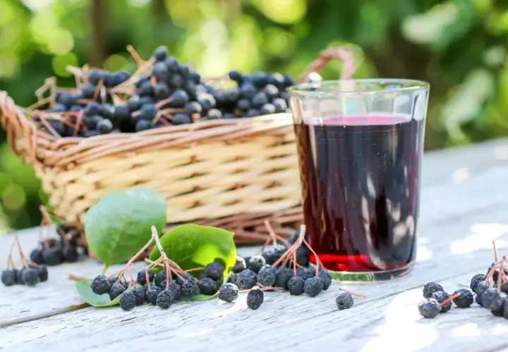 Aronia w koszyku i szklanka nalewki. To przepis babci na nalewkę z aronii, idealny na jesienne wieczory.