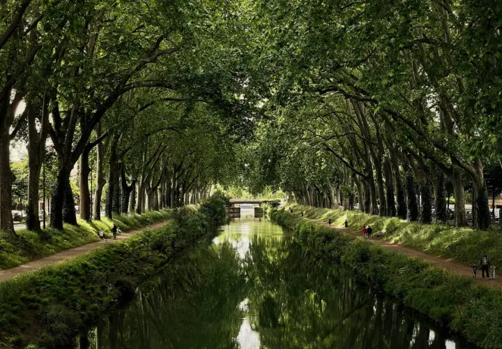 A serene canal du midi bike tour path lined with lush trees, their branches forming a green canopy over the tranquil water reflecting the scene.