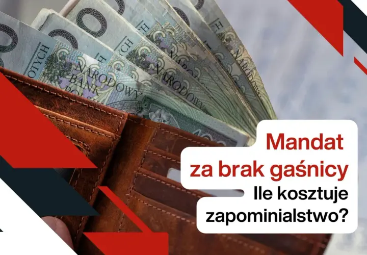 Portfel z polskimi banknotami. Jaki mandat za brak gaśnicy? Ile kosztuje zapominialstwo?
