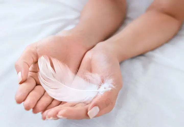 Manos sostienen una pluma blanca, símbolo de paz y pureza. Su delicadeza evoca la ligereza y el significado de la pluma blanca.