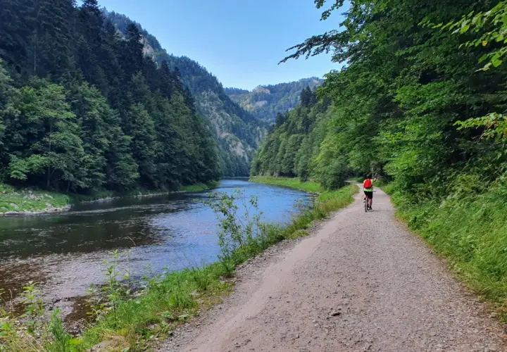Rowerzysta przemierza malowniczą trasę Velo Dunajec w Szczawnicy, otoczony zielonymi lasami i spokojną rzeką.