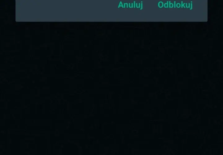 Co zrobić, gdy WhatsApp nie działa? Rozwiąż problemy szybko i łatwo