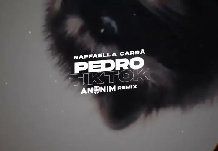 Kto śpiewa Pedro Pedro? Odkryj historię i remiksy tej piosenki