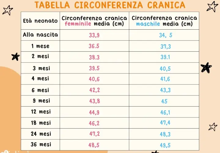 Tabella con la circonferenza testa neonato per età e sesso. Valori medi in cm per maschi e femmine dalla nascita a 36 mesi.
