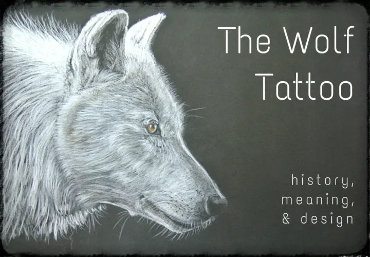 Portret wilka, inspiracja do tatuażu wilk, jego historia, znaczenie i wzory.