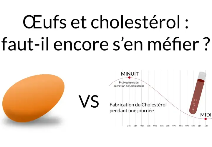 Œufs et cholestérol : faut-il encore s'en méfier ? Un œuf face à un graphique de la fabrication du cholestérol.