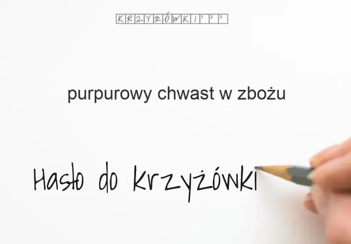 Liliowy chwast w życie - poznaj tajemnice kąkola i jego znaczenie
