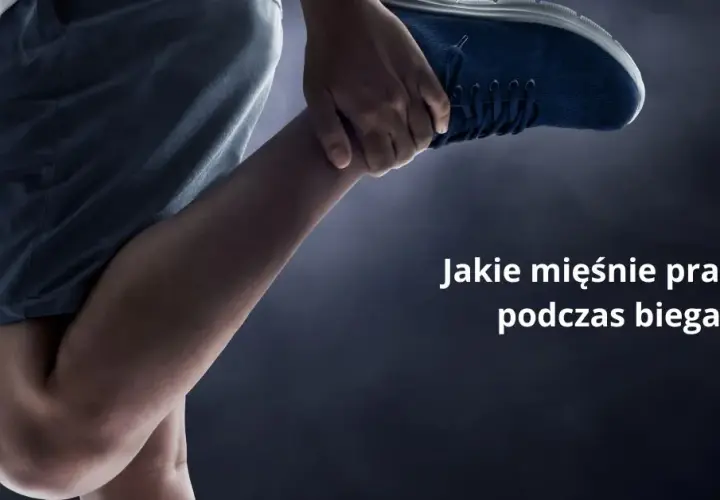 Jakie mięśnie pracują podczas biegania? Biegaj mądrzej!