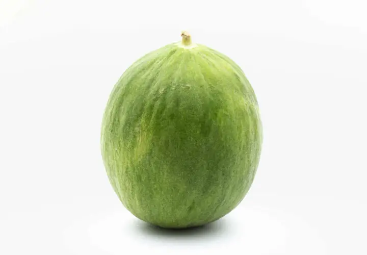 Un tondo cetriolo barattiere verde, con una leggera peluria e un piccolo picciolo in cima, su sfondo bianco.