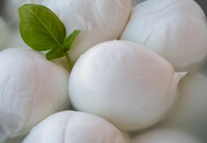 Kulki mozzarelli w wodzie, jedna z listkiem bazylii. Czy ser mozzarella jest tłusty? Zależy od rodzaju, ale ten wygląda apetycznie.
