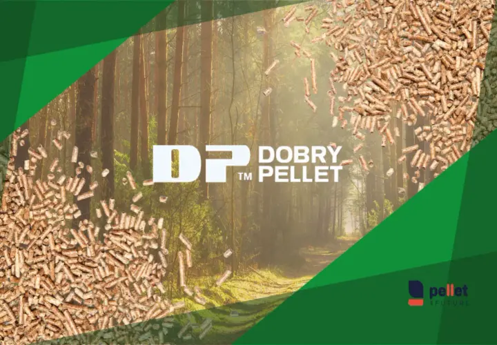 Zastanawiasz się, jaki pellet jest najlepszy? Zobacz naturalne, drewniane paliwo w lesie. Logo "DOBRY PELLET" i "pellet4FUTURE".