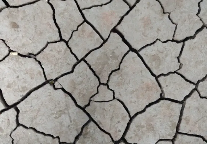 Tierra agrietada, como si la hubieran partido las fuerzas de un terremoto. Un paisaje árido que invita a soñar con terremoto.