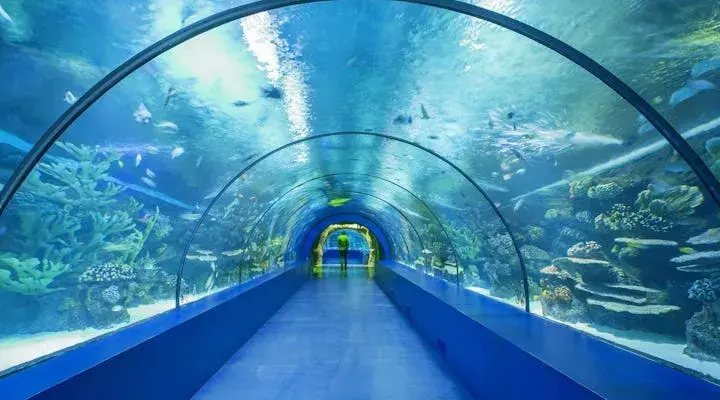 Oceanarium Antalya - Niezapomniane atrakcje i wskazówki dla odwiedzających