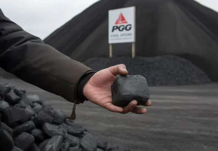 Ekogroszek PGG: Jak kupić krok po kroku? [Poradnik]