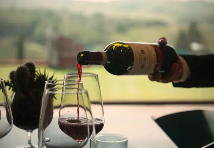 Versando vino rosso in un calice, un gesto che rispetta il disciplinare di produzione vino. Paesaggio verdeggiante sullo sfondo.