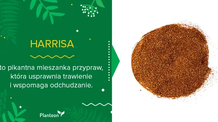 Jak zrobić przyprawę harissa – prosty przepis na wyjątkowy smak