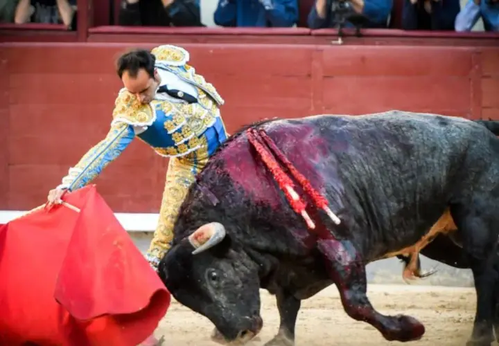 Un torero con traje de luces se enfrenta a un toro herido en la arena. El toro, con sangre en el lomo, embiste con fuerza.
