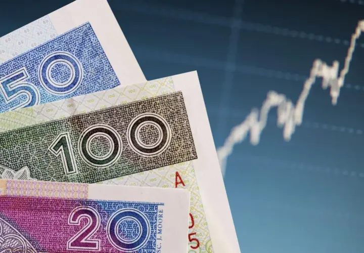 BFG: 100 000 euro gwarancji depozytów jak chronić oszczędności?