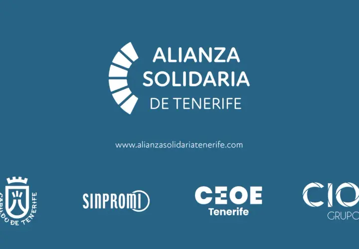 Tenerife Isla Solidaria: Oportunidades de voluntariado y apoyo comunitario