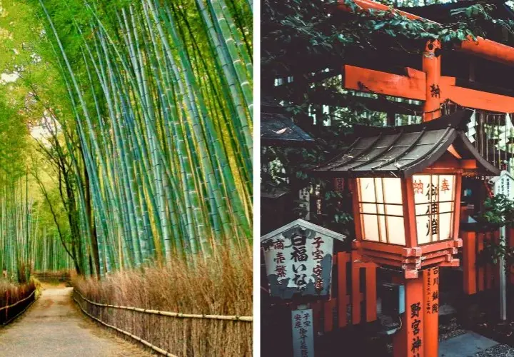 Atrakcje Japonia: Odkryj najpiękniejsze miejsca i ukryte skarby