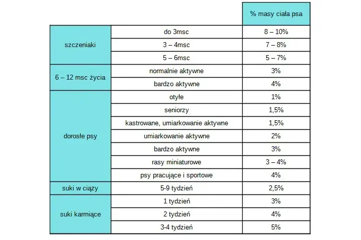 Ile karmy dla psa? Oblicz idealną porcję krok po kroku