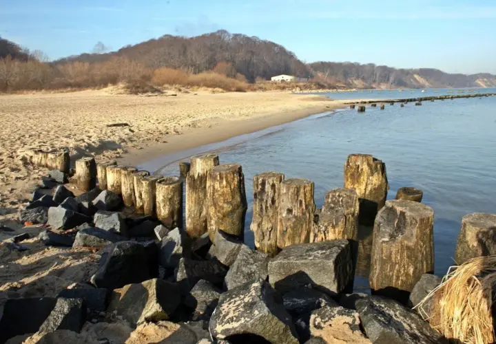 Kamienne falochrony i drewniane pale na plaży w Gdyni Oksywie. W tle piaszczysta plaża i zalesione wzgórza.